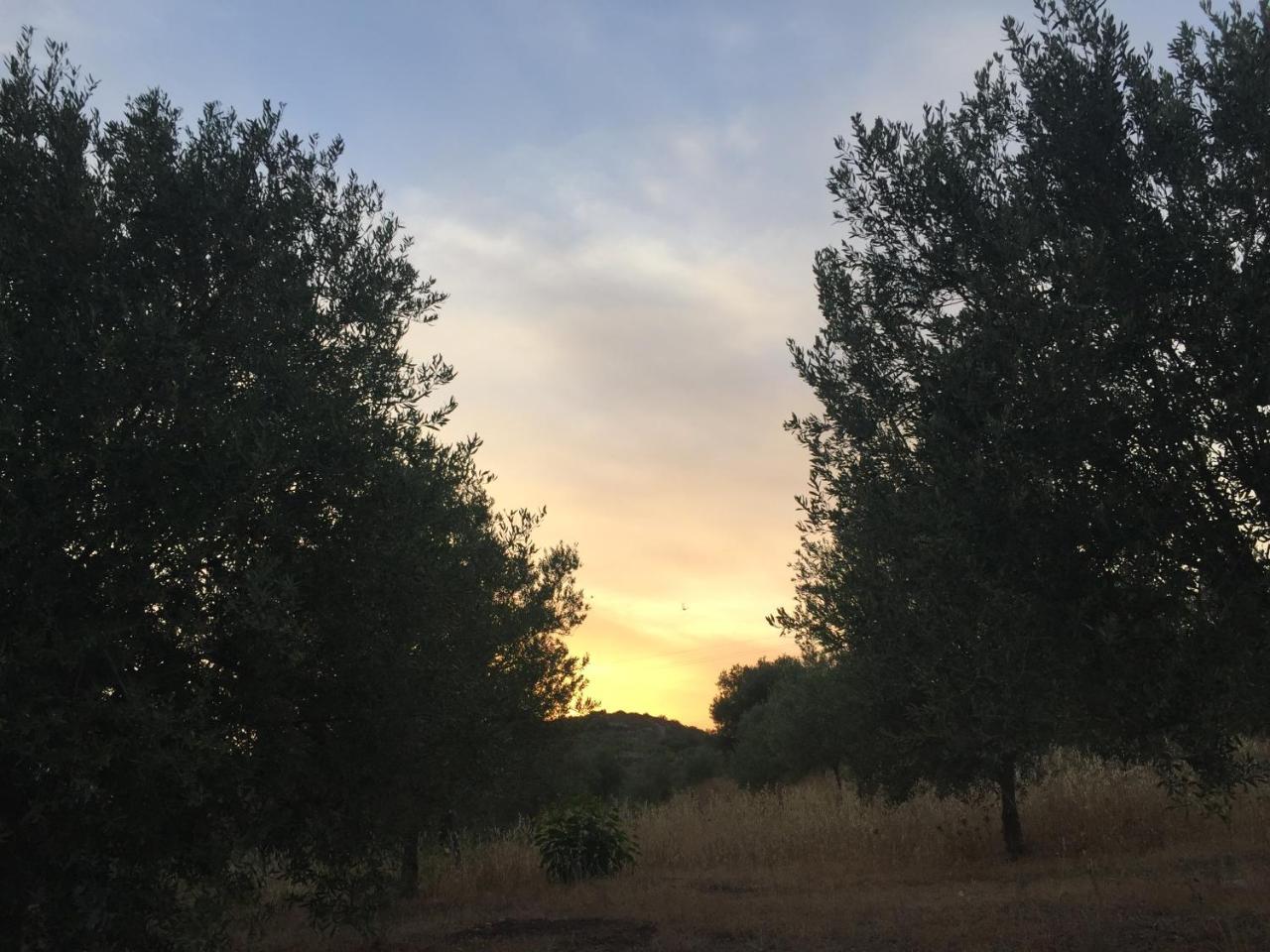 Agriturismo Saccollino San Paolo  Экстерьер фото