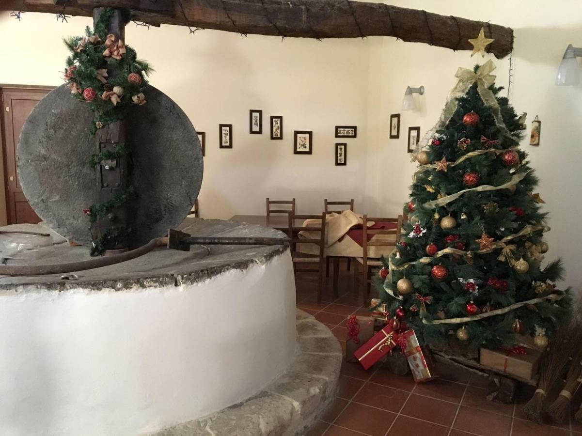 Agriturismo Saccollino San Paolo  Экстерьер фото