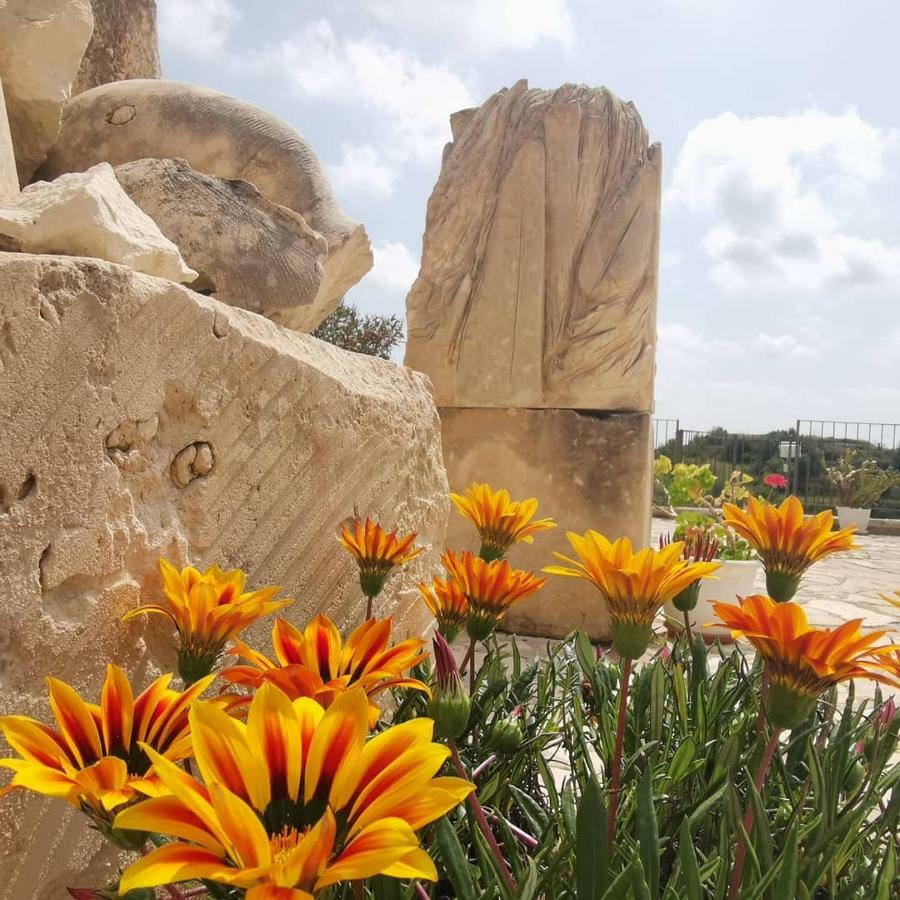 Agriturismo Saccollino San Paolo  Экстерьер фото